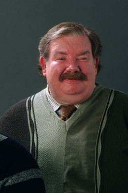 Вернон Дурсль