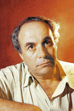 Жулио Брессане