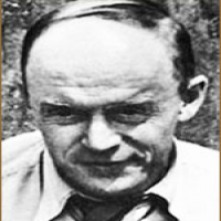 Владимир Немоляев