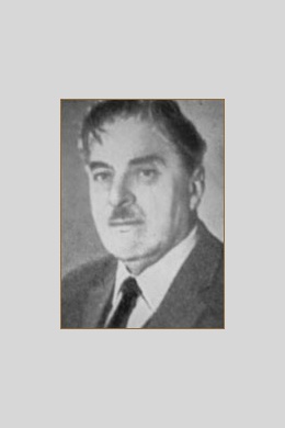 Сико Долидзе