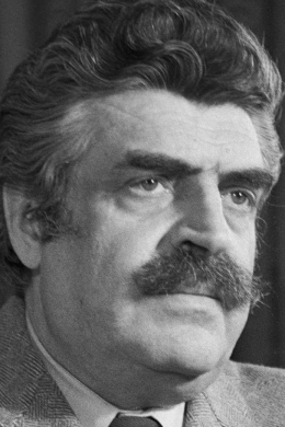Ян Френкель
