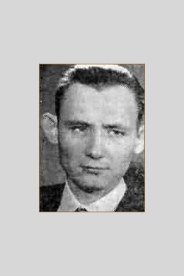Румиль Вильданов