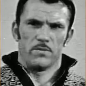 Василий Долбитников