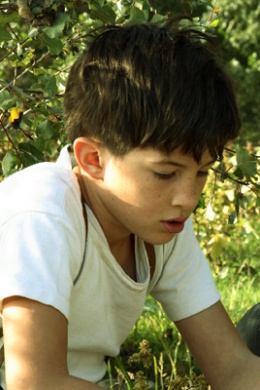 Thomas Durastel