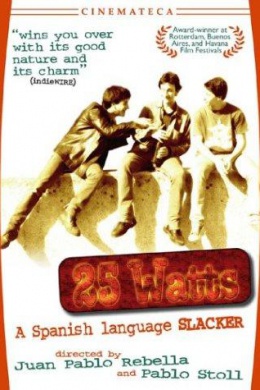 25 Watts