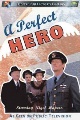 A Perfect Hero
