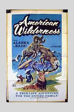 American Wilderness