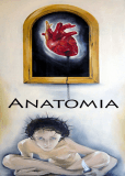 Anatomia