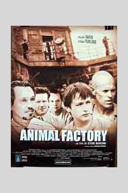 Animal