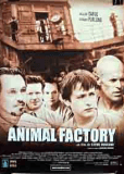 Animal