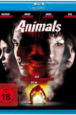 Animals