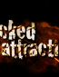 Attraction