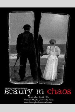 Beauty in Chaos