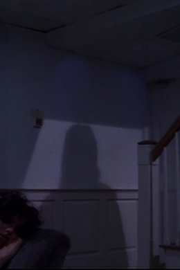 Beneath the Veneer of a Murder