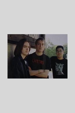 Between Resistance and Community: The Long Island Do It Yourself Punk Scene
