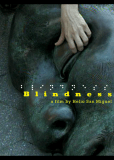 Blindness