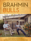 Brahmin Bulls