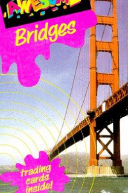 Bridges