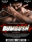 Bumrush