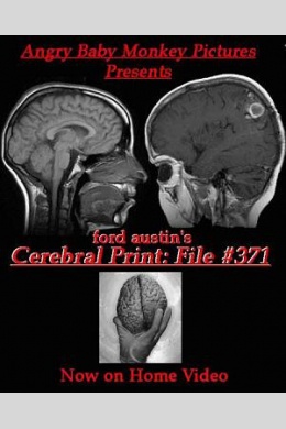 Cerebral Print: File #371