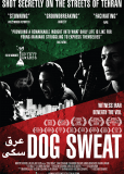 Dog Sweat