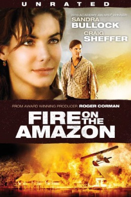 Fire on the Amazon