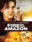 Fire on the Amazon