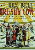 Girl-Shy Cowboy