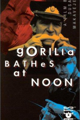 Gorilla Bathes at Noon