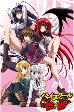 Высшая школа DxD (сериал)