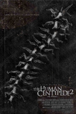 Human