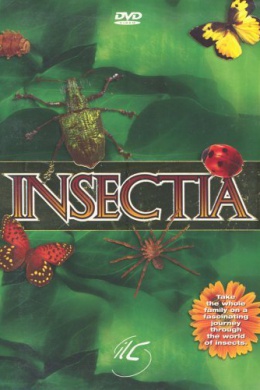 Insectia