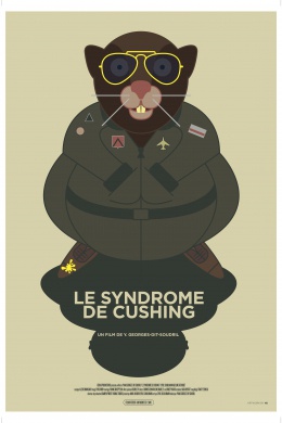 Le syndrome de Cushing