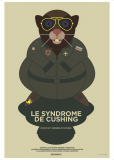 Le syndrome de Cushing