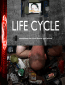 Life Cycle