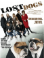 Lost Dogs