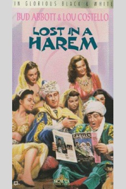 Lost in a Harem