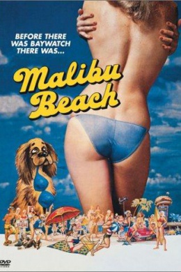 Malibu Beach