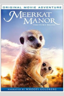 Meerkat Manor: The Story Begins