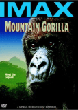 Mountain Gorilla