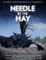 Needle in the Hay