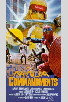 Ninja Commandments