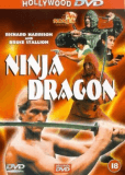 Ninja Dragon