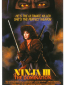 Ninja III: The Domination