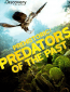 Prehistoric Predators