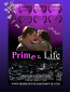 Prime of Your Life