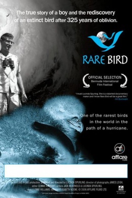 Rare Bird