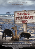 Saving Pelican 895