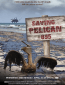 Saving Pelican 895