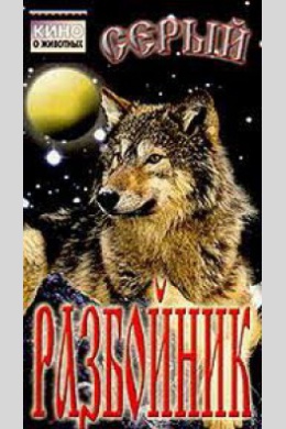 Серый разбойник